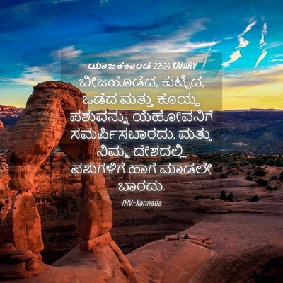 Picture 04 - ಯಾಜಕಕಾಂಡ 22:24 KANIRV - ಬೀಜಹೊಡೆದ, ಕುಟ್ಟಿದ, - Bible Verse Picture