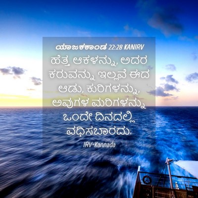 Picture 04 - ಯಾಜಕಕಾಂಡ 22:28 KANIRV - ಹೆತ್ತ ಆಕಳನ್ನು, ಅದರ - Bible Verse Picture