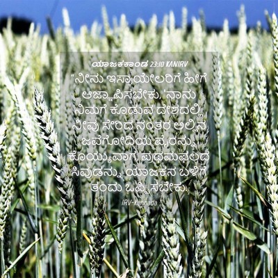 Picture 04 - ಯಾಜಕಕಾಂಡ 23:10 KANIRV - “ನೀನು - Bible Verse Picture