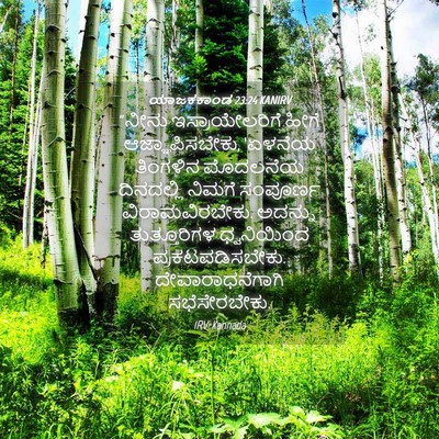 Picture 04 - ಯಾಜಕಕಾಂಡ 23:24 KANIRV - “ನೀನು - Bible Verse Picture