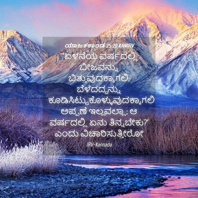 Picture 04 - ಯಾಜಕಕಾಂಡ 25:20 KANIRV - “‘ಏಳನೆಯ ವರ್ಷದಲ್ಲಿ - Bible Verse Picture