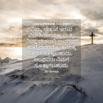 Picture 04 - ಯಾಜಕಕಾಂಡ 25:45 KANIRV - ನಿಮ್ಮ ನಡುವೆ ಇರುವ - Bible Verse Picture