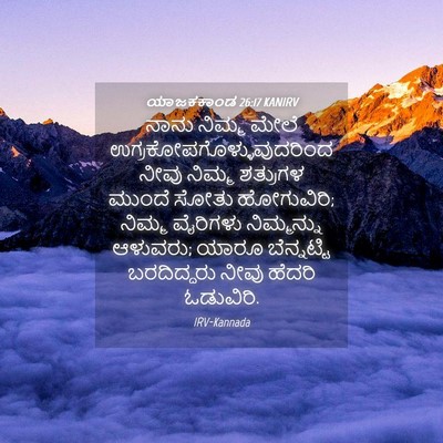 Picture 04 - ಯಾಜಕಕಾಂಡ 26:17 KANIRV - ನಾನು ನಿಮ್ಮ ಮೇಲೆ - Bible Verse Picture