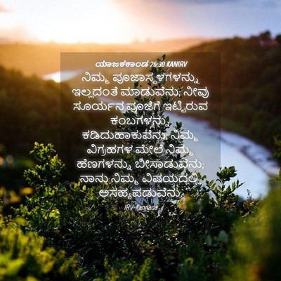 Picture 04 - ಯಾಜಕಕಾಂಡ 26:30 KANIRV - ನಿಮ್ಮ - Bible Verse Picture