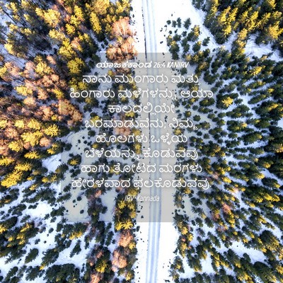Picture 04 - ಯಾಜಕಕಾಂಡ 26:4 KANIRV - ನಾನು ಮುಂಗಾರು - Bible Verse Picture