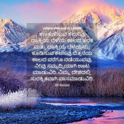 Picture 04 - ಯಾಜಕಕಾಂಡ 26:5 KANIRV - ಕಣತುಳಿಸುವ ಕೆಲಸವು - Bible Verse Picture