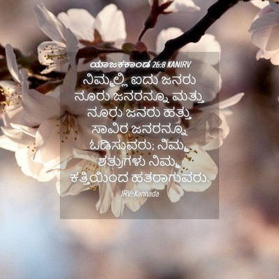 Picture 04 - ಯಾಜಕಕಾಂಡ 26:8 KANIRV - ನಿಮ್ಮಲ್ಲಿ ಐದು - Bible Verse Picture