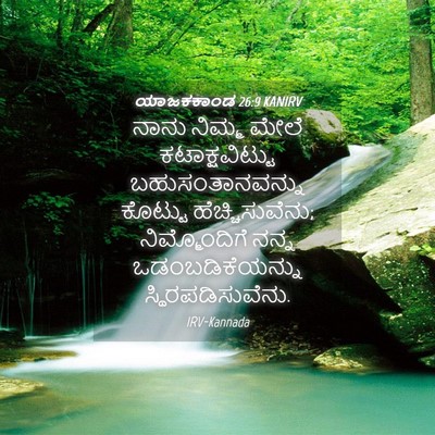 Picture 04 - ಯಾಜಕಕಾಂಡ 26:9 KANIRV - ನಾನು ನಿಮ್ಮ ಮೇಲೆ - Bible Verse Picture
