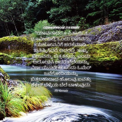 Picture 04 - ಯಾಜಕಕಾಂಡ 27:16 KANIRV - “‘ಯಾವನಾದರೂ - Bible Verse Picture