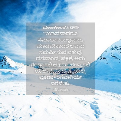 Picture 04 - ಯಾಜಕಕಾಂಡ 3:1 KANIRV - “‘ಯಾವನಾದರೂ - Bible Verse Picture