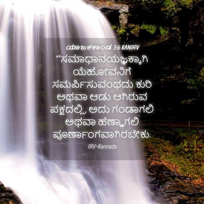 Picture 04 - ಯಾಜಕಕಾಂಡ 3:6 KANIRV -  - Bible Verse Picture