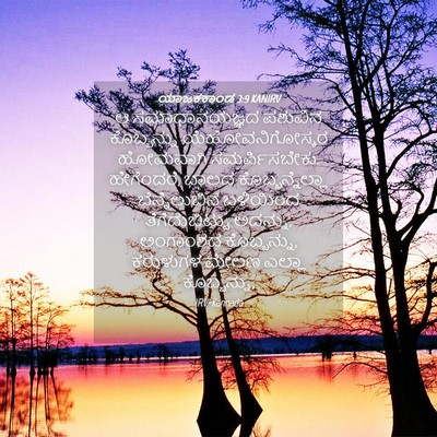 Picture 04 - ಯಾಜಕಕಾಂಡ 3:9 KANIRV - ಆ ಸಮಾಧಾನಯಜ್ಞದ - Bible Verse Picture