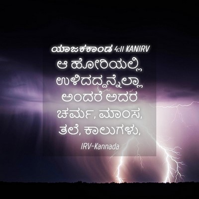 Picture 04 - ಯಾಜಕಕಾಂಡ 4:11 KANIRV - ಆ ಹೋರಿಯಲ್ಲಿ - Bible Verse Picture