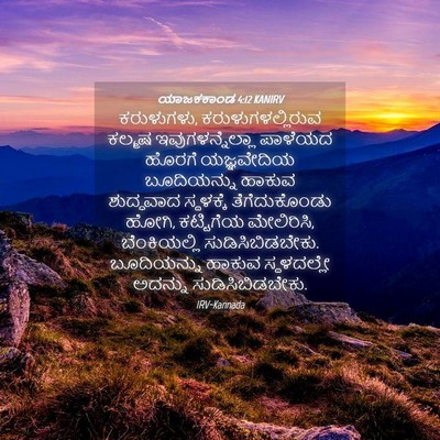 Picture 04 - ಯಾಜಕಕಾಂಡ 4:12 KANIRV - ಕರುಳುಗಳು, - Bible Verse Picture