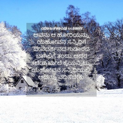 Picture 04 - ಯಾಜಕಕಾಂಡ 4:4 KANIRV - ಅವನು ಆ ಹೋರಿಯನ್ನು - Bible Verse Picture