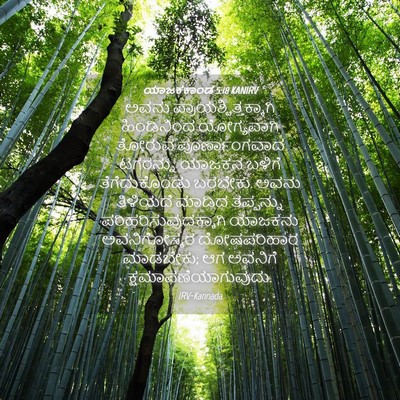 Picture 04 - ಯಾಜಕಕಾಂಡ 5:18 KANIRV - ಅವನು - Bible Verse Picture