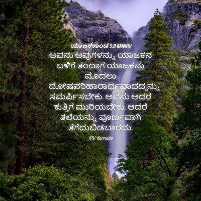 Picture 04 - ಯಾಜಕಕಾಂಡ 5:8 KANIRV - ಅವನು ಅವುಗಳನ್ನು - Bible Verse Picture