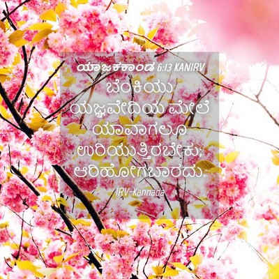 Picture 04 - ಯಾಜಕಕಾಂಡ 6:13 KANIRV - ಬೆಂಕಿಯು ಯಜ್ಞವೇದಿಯ - Bible Verse Picture