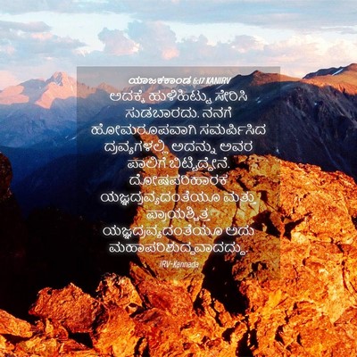 Picture 04 - ಯಾಜಕಕಾಂಡ 6:17 KANIRV - ಅದಕ್ಕೆ ಹುಳಿಹಿಟ್ಟು - Bible Verse Picture