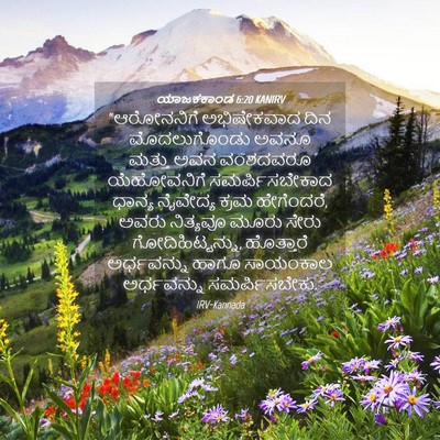 Picture 04 - ಯಾಜಕಕಾಂಡ 6:20 KANIRV - “ಆರೋನನಿಗೆ - Bible Verse Picture