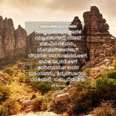 Picture 04 - ಯಾಜಕಕಾಂಡ 6:30 KANIRV - ಆದರೆ ದೋಷಪರಿಹಾರಕ - Bible Verse Picture