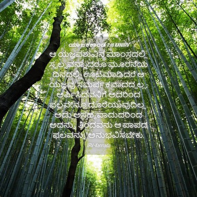 Picture 04 - ಯಾಜಕಕಾಂಡ 7:18 KANIRV - ಆ ಯಜ್ಞಪಶುವಿನ - Bible Verse Picture