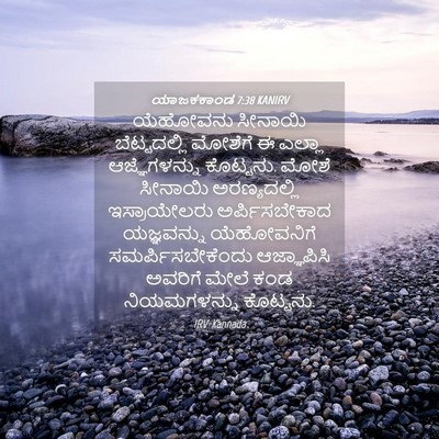 Picture 04 - ಯಾಜಕಕಾಂಡ 7:38 KANIRV - ಯೆಹೋವನು ಸೀನಾಯಿ - Bible Verse Picture