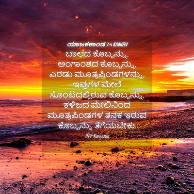 Picture 04 - ಯಾಜಕಕಾಂಡ 7:4 KANIRV - ಬಾಲದ ಕೊಬ್ಬನ್ನು, - Bible Verse Picture