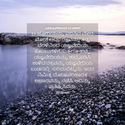 Picture 04 - ಯಾಜಕಕಾಂಡ 8:15 KANIRV - ಆ ಹೋರಿಯನ್ನು - Bible Verse Picture