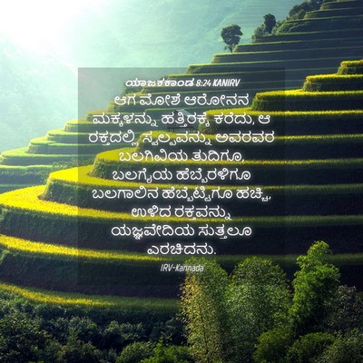 Picture 04 - ಯಾಜಕಕಾಂಡ 8:24 KANIRV - ಆಗ ಮೋಶೆ ಆರೋನನ - Bible Verse Picture