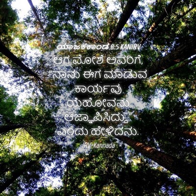 Picture 04 - ಯಾಜಕಕಾಂಡ 8:5 KANIRV - ಆಗ ಮೋಶೆ ಅವರಿಗೆ, - Bible Verse Picture