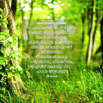 Picture 04 - ಯೆರೆಮೀಯನು 10:5 KANIRV - ಇಂಥಾ ಬೊಂಬೆಗಳು - Bible Verse Picture