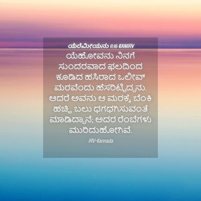 Picture 04 - ಯೆರೆಮೀಯನು 11:16 KANIRV - ಯೆಹೋವನು ನಿನಗೆ - Bible Verse Picture