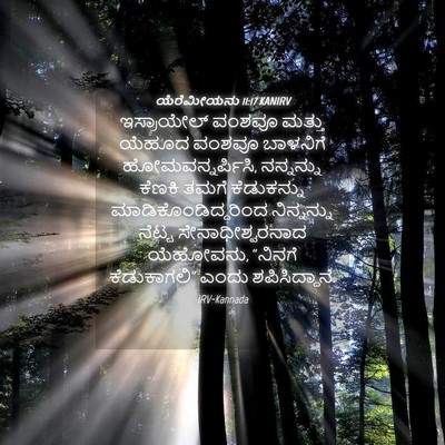 Picture 04 - ಯೆರೆಮೀಯನು 11:17 KANIRV - ಇಸ್ರಾಯೇಲ್ ವಂಶವೂ - Bible Verse Picture