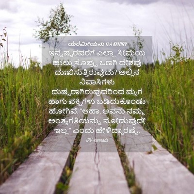 Picture 04 - ಯೆರೆಮೀಯನು 12:4 KANIRV - ಇನ್ನೆಷ್ಟರವರೆಗೆ - Bible Verse Picture