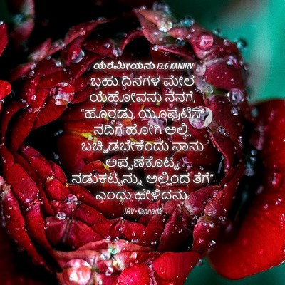 Picture 04 - ಯೆರೆಮೀಯನು 13:6 KANIRV - ಬಹು ದಿನಗಳ ಮೇಲೆ - Bible Verse Picture
