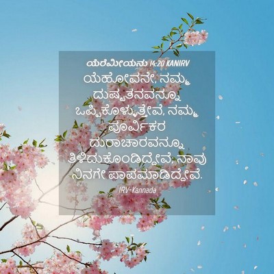 Picture 04 - ಯೆರೆಮೀಯನು 14:20 KANIRV - ಯೆಹೋವನೇ, ನಮ್ಮ - Bible Verse Picture