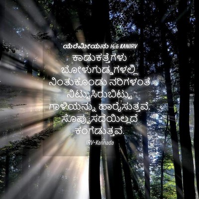 Picture 04 - ಯೆರೆಮೀಯನು 14:6 KANIRV - ಕಾಡುಕತ್ತೆಗಳು - Bible Verse Picture