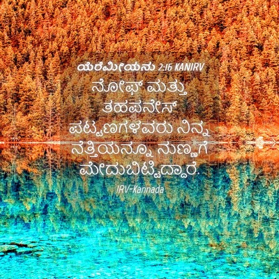 Picture 04 - ಯೆರೆಮೀಯನು 2:16 KANIRV - ನೋಫ್ ಮತ್ತು - Bible Verse Picture