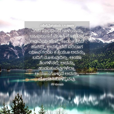 Picture 04 - ಯೆರೆಮೀಯನು 2:24 KANIRV - ನೀನು ಮದದಿಂದ - Bible Verse Picture