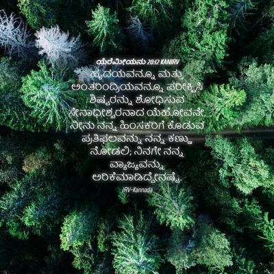 Picture 04 - ಯೆರೆಮೀಯನು 20:12 KANIRV - ಹೃದಯವನ್ನೂ ಮತ್ತು - Bible Verse Picture
