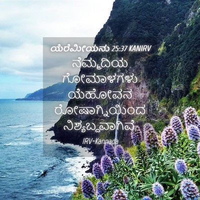 Picture 04 - ಯೆರೆಮೀಯನು 25:37 KANIRV - ನೆಮ್ಮದಿಯ ಗೋಮಾಳಗಳು - Bible Verse Picture