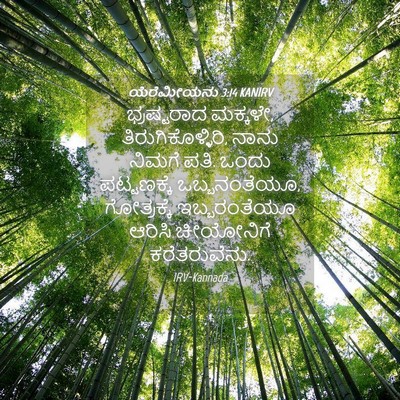 Picture 04 - ಯೆರೆಮೀಯನು 3:14 KANIRV - ಭ್ರಷ್ಟರಾದ ಮಕ್ಕಳೇ, - Bible Verse Picture