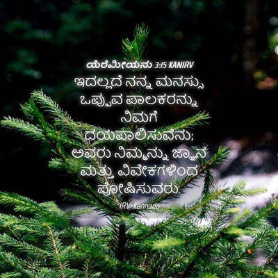 Picture 04 - ಯೆರೆಮೀಯನು 3:15 KANIRV - ಇದಲ್ಲದೆ ನನ್ನ - Bible Verse Picture