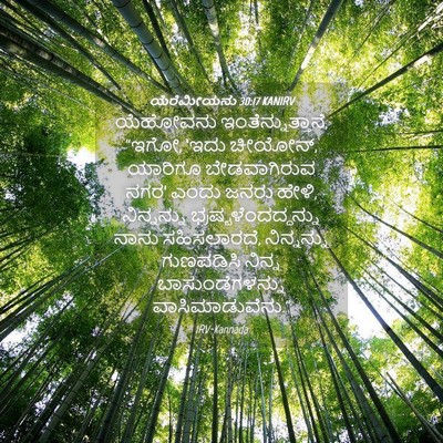 Picture 04 - ಯೆರೆಮೀಯನು 30:17 KANIRV - ಯೆಹೋವನು - Bible Verse Picture