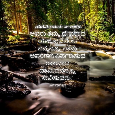 Picture 04 - ಯೆರೆಮೀಯನು 30:9 KANIRV - ಅವರು ತಮ್ಮ ದೇವರಾದ - Bible Verse Picture