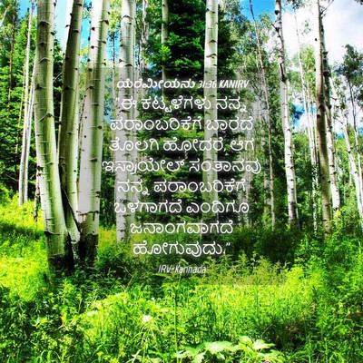 Picture 04 - ಯೆರೆಮೀಯನು 31:36 KANIRV - “ಈ ಕಟ್ಟಳೆಗಳು ನನ್ನ - Bible Verse Picture