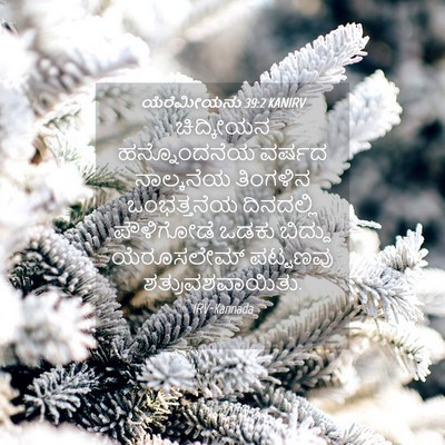 Picture 04 - ಯೆರೆಮೀಯನು 39:2 KANIRV - ಚಿದ್ಕೀಯನ - Bible Verse Picture