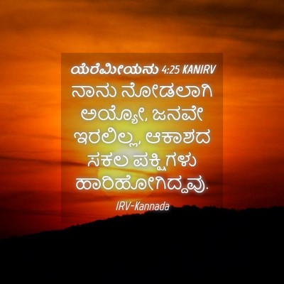 Picture 04 - ಯೆರೆಮೀಯನು 4:25 KANIRV - ನಾನು ನೋಡಲಾಗಿ - Bible Verse Picture
