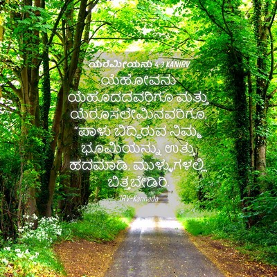 Picture 04 - ಯೆರೆಮೀಯನು 4:3 KANIRV - ಯೆಹೋವನು - Bible Verse Picture